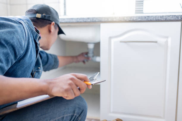 Best Septic Systems  in Hanover, MN
