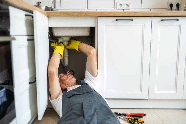 Best Leak Detection Services  in Hanover, MN