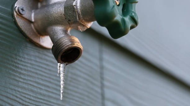 Sprinkler Systems in Hanover, MN